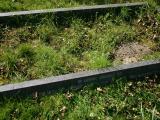 image of grave number 16693